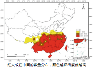 1665199494476524.png 圖片3.png